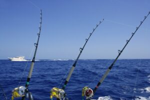 Why You Should Go Fishing in Florida: The Ultimate Angler’s Paradise